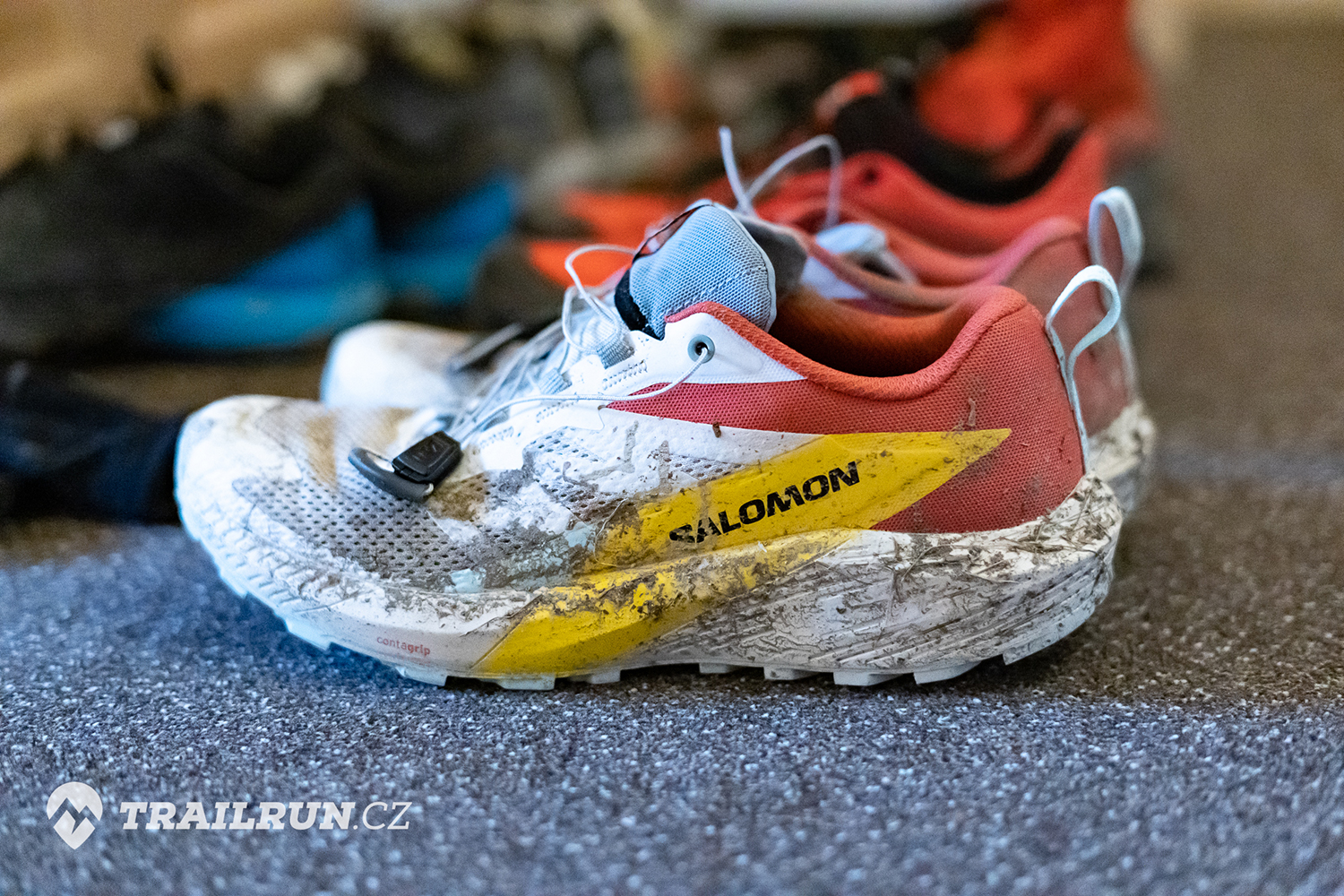 Salomon Sense Ride 5 – univerzální trailovky