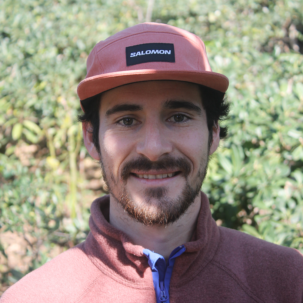Aitor Viribay