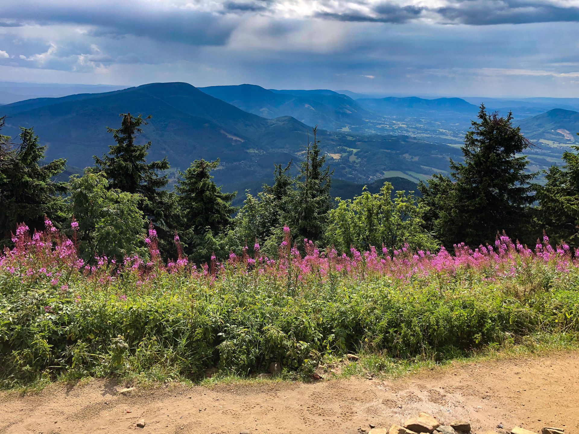 header-image-small