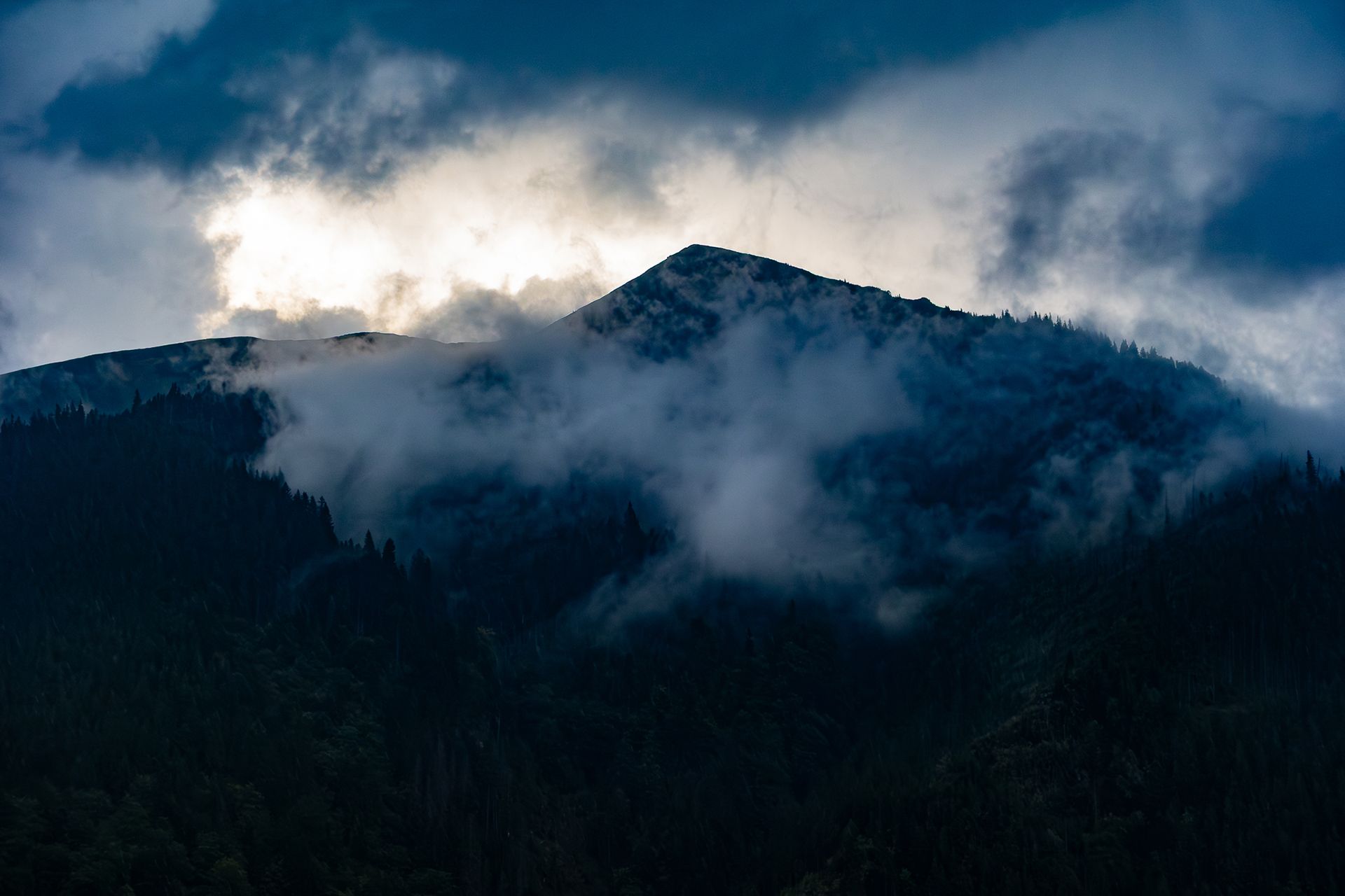header-image-small