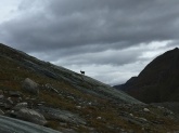 Alpský kemp aneb Dolomitenmann na vlastní kůži