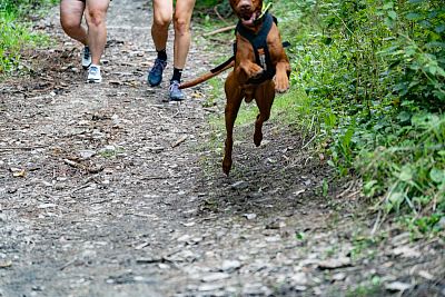 B7 2022 – fotogalerie z posledních 2 km