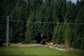 ČEZ Jizerská 50 RUN přilákala 1 251 závodníků