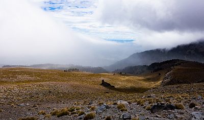 Úpatí sopky Pico de Orizaba - bodláky, chřestýši a tuny kamení.